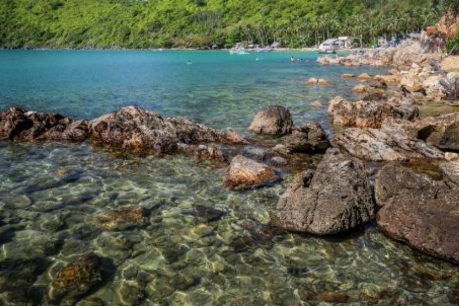 Îles encore sauvages 