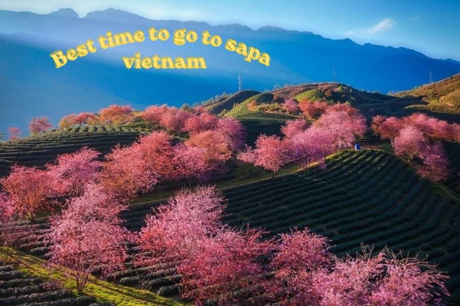 Best time to go to sapa vietnam selon chaque saison