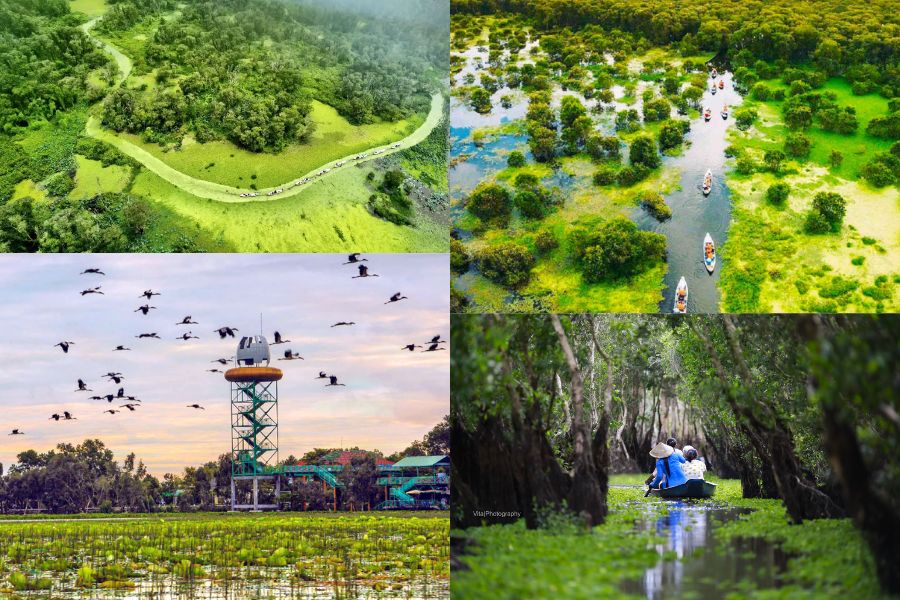 Chau doc que faire : vivre la beauté de la nature pendant la saison des crues