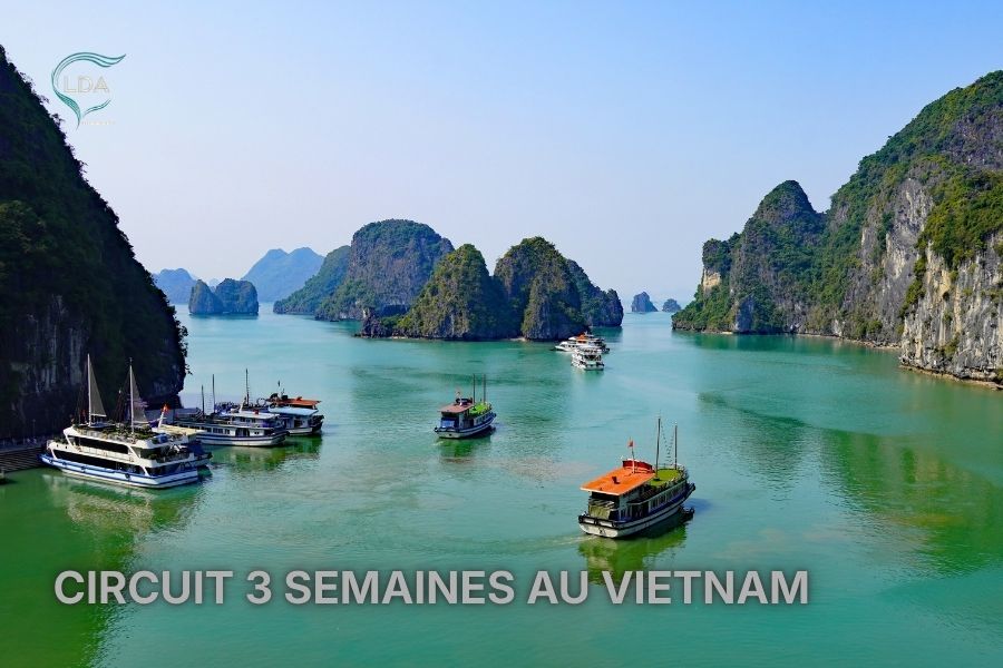 Circuit 3 semaines au Vietnam complet du Nord au Sud