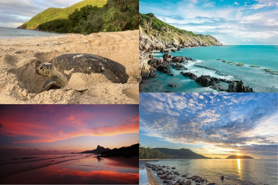 Con Dao que faire pour les amoureux de nature ?