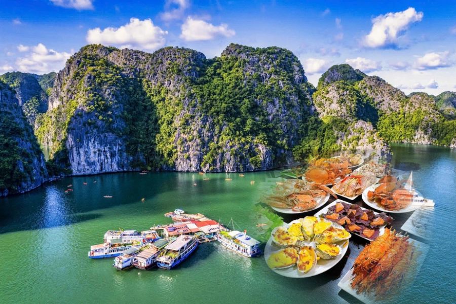 Croisiere baie lan ha, un voyage riche en expériences uniques 