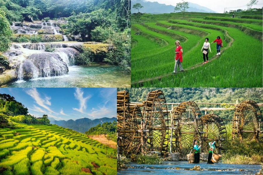 Découvrez la réserve naturelle de Pù Luông, un joyau préservé au cœur des montagnes vietnamiennes