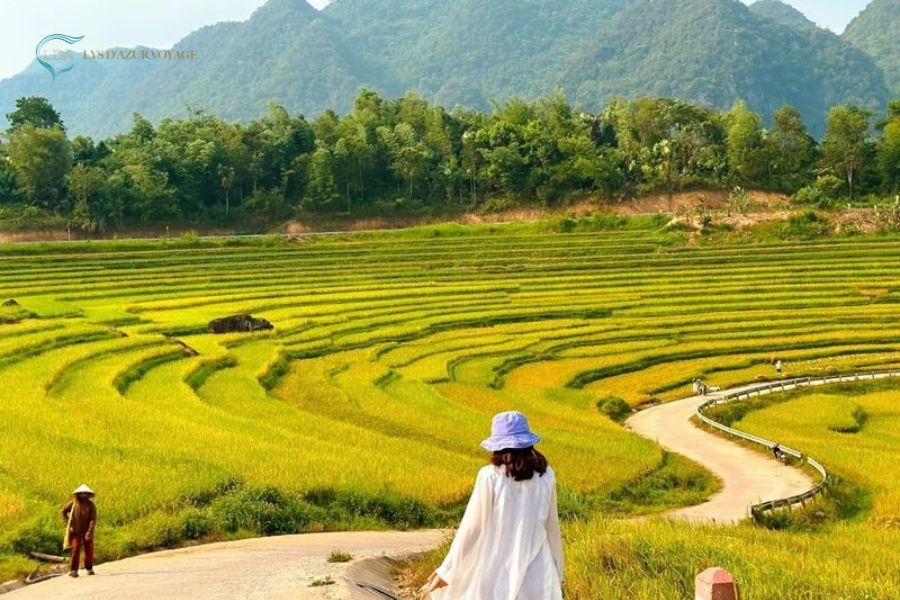 Guide complet de la réserve naturelle de Pù Luông