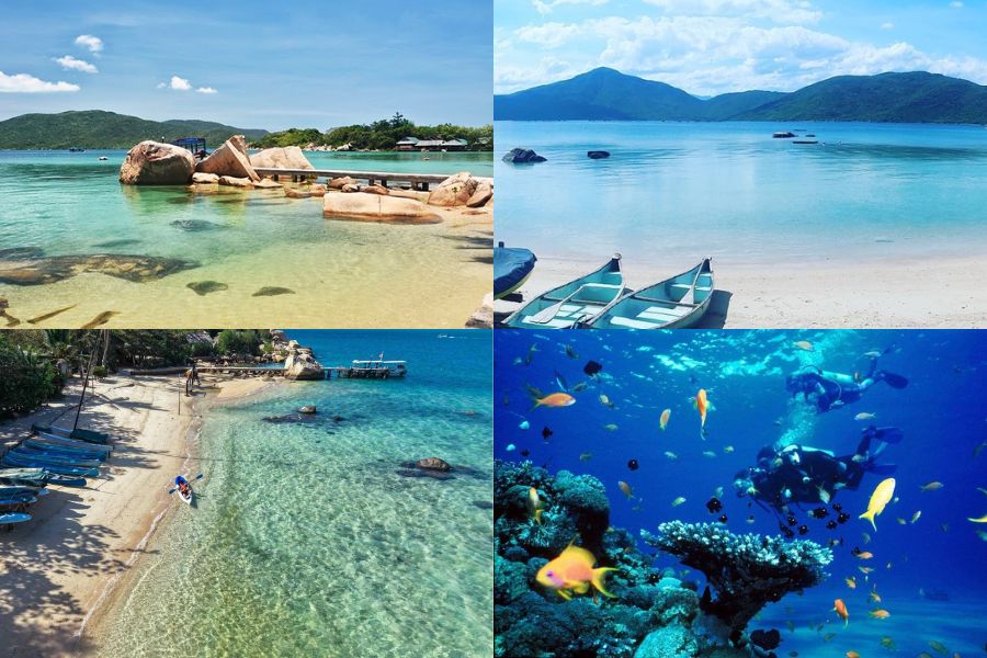 Ile de la baleine au vietnam: qu’est-ce qui attire les voyageurs ?