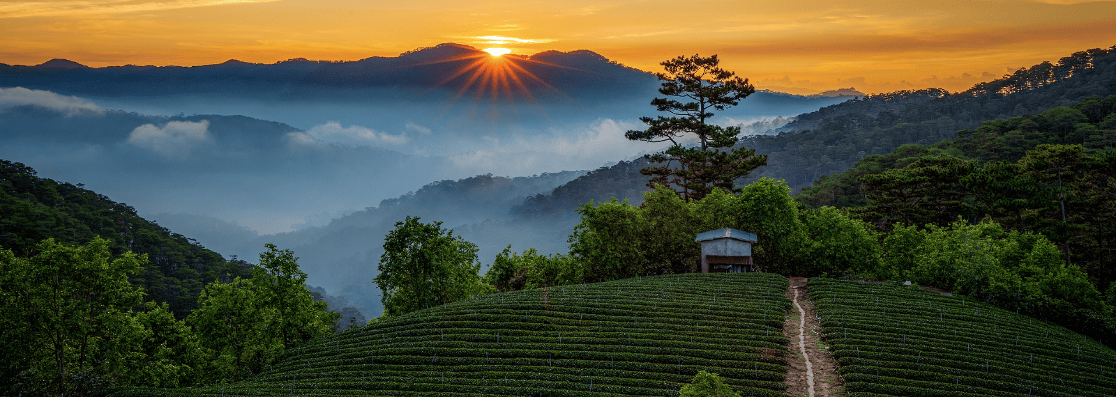 Couleurs d’altitude au Vietnam du Nord