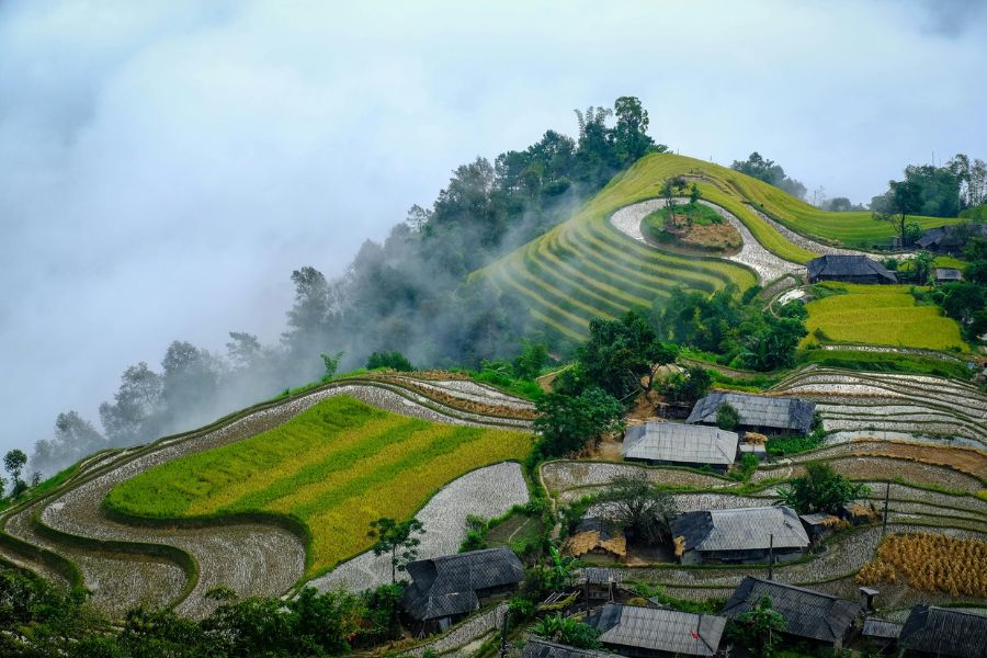 Le Vietnam en novembre: La période dorée pour un voyage d'exploration complet