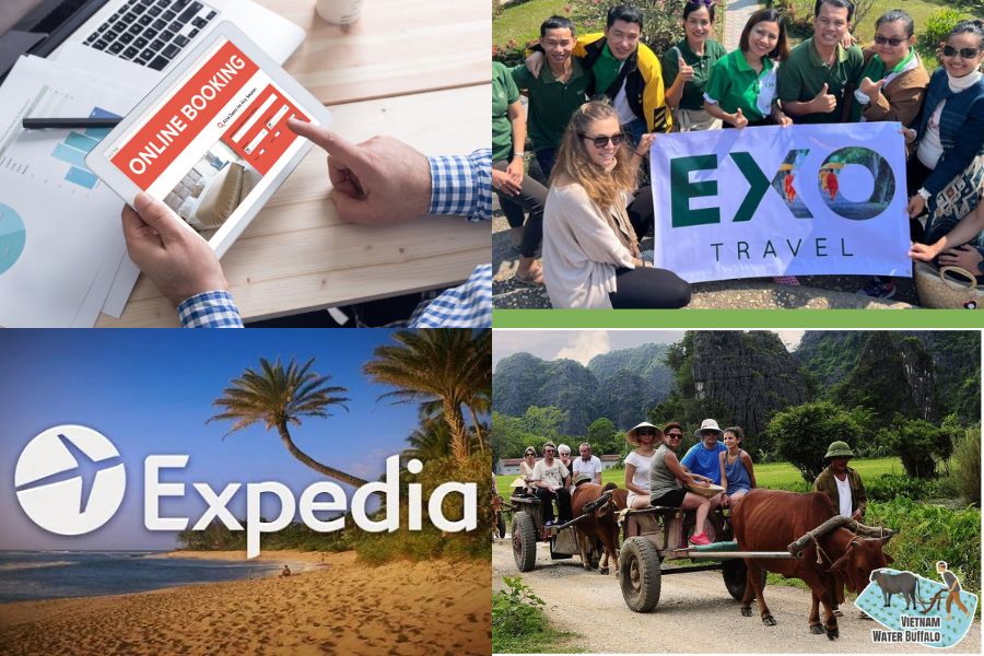 Les agences de voyage en ligne sur le marché international