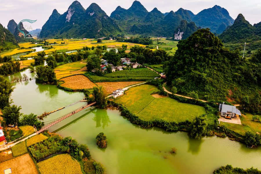 Que faire dans le nord du Vietnam les expériences incontournables