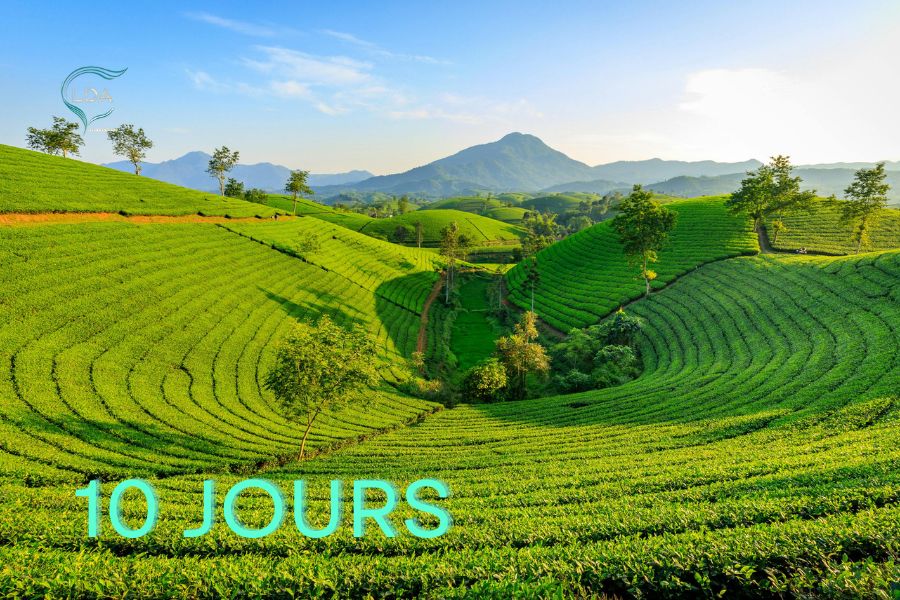 Que voir au Vietnam en 10 jours? Suggestions pour une exploration complète