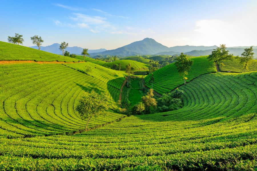 Voyage tout compris Vietnam : L’art de la conception d’itinéraire