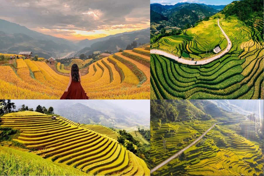 Les destinations incontournables 