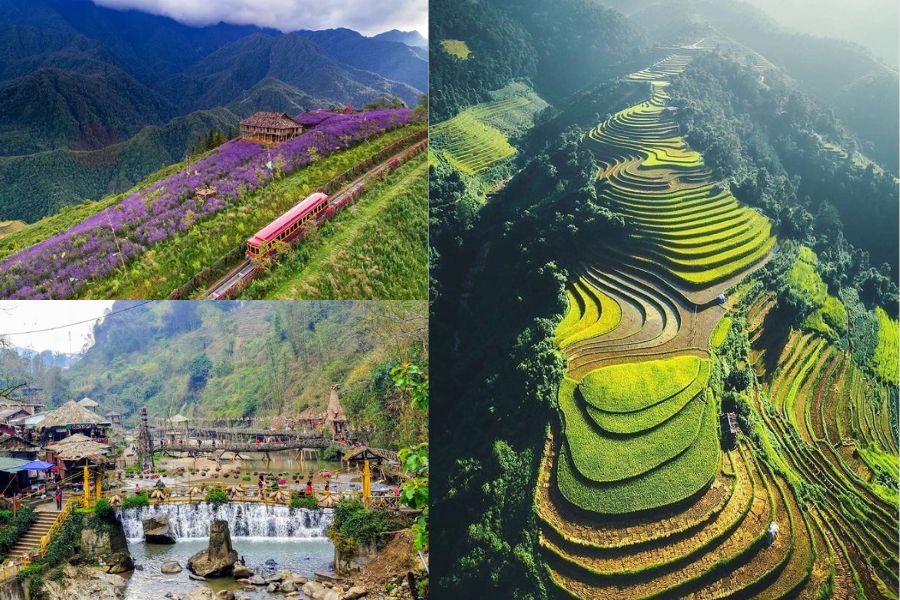 Les plus beaux points de vue sur les rizières de Sa Pa 