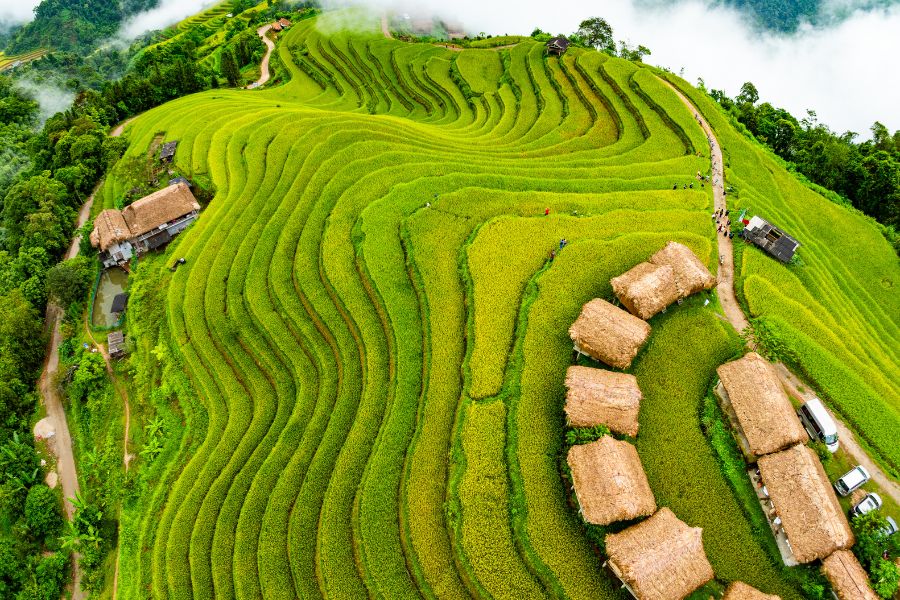 Nord du Vietnam – Une beauté marquée par quatre saisons