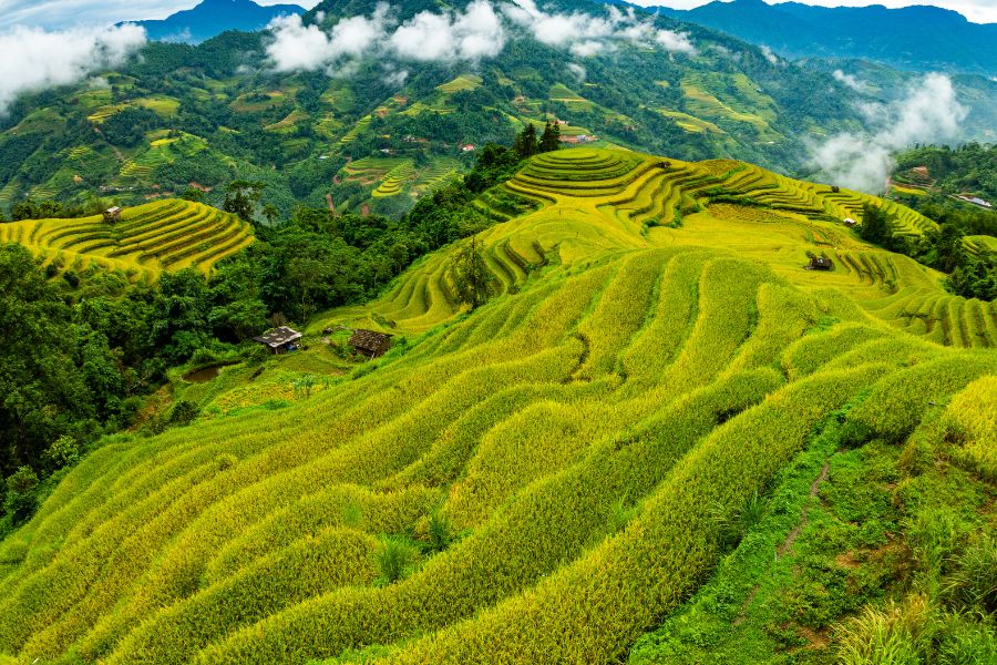 Nord du Vietnam – Une beauté marquée selon les saisons