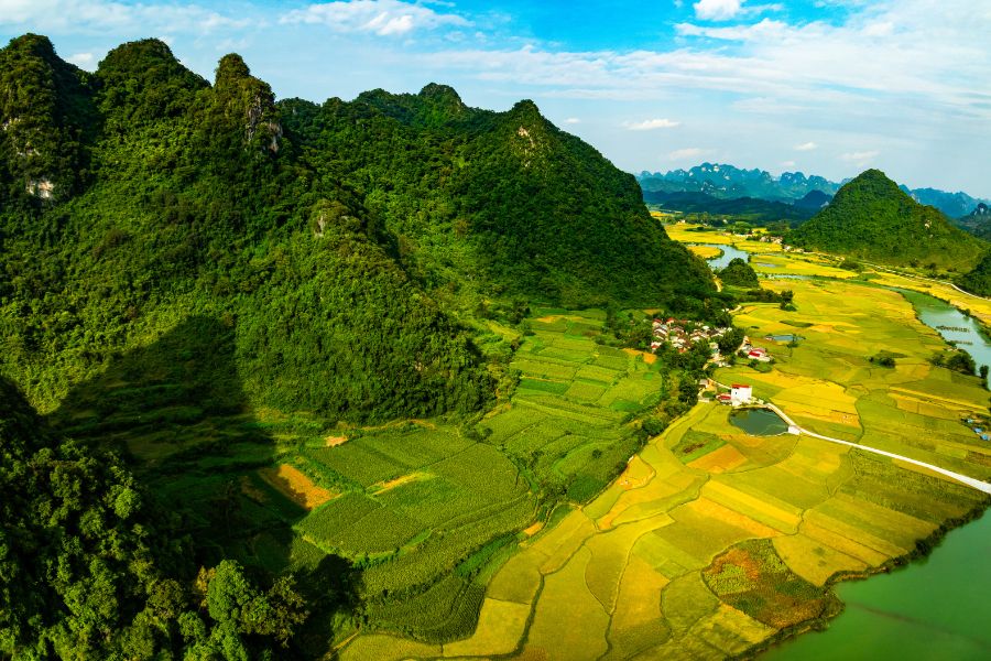 Nord du Vietnam