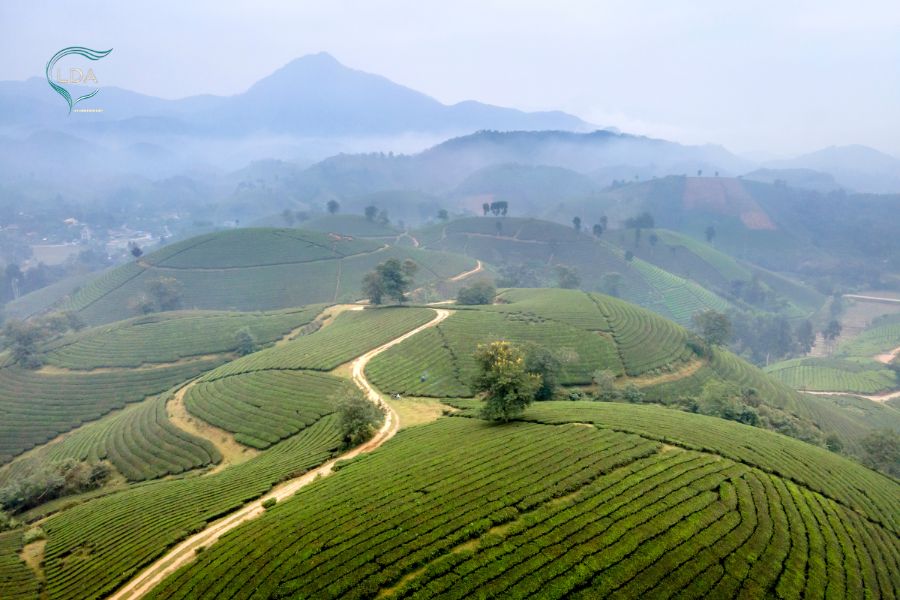 Paysage du Vietnam: une beauté envoûtante du Nord au Sud
