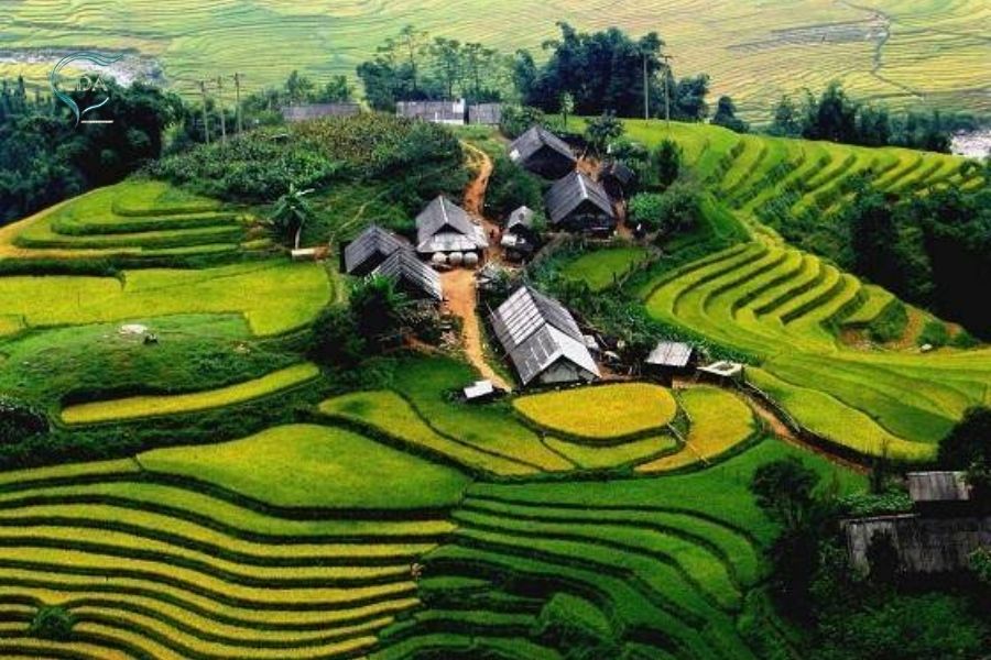 Pourquoi le road trip vietnam 3 semaines séduit-il autant les voyageurs ?