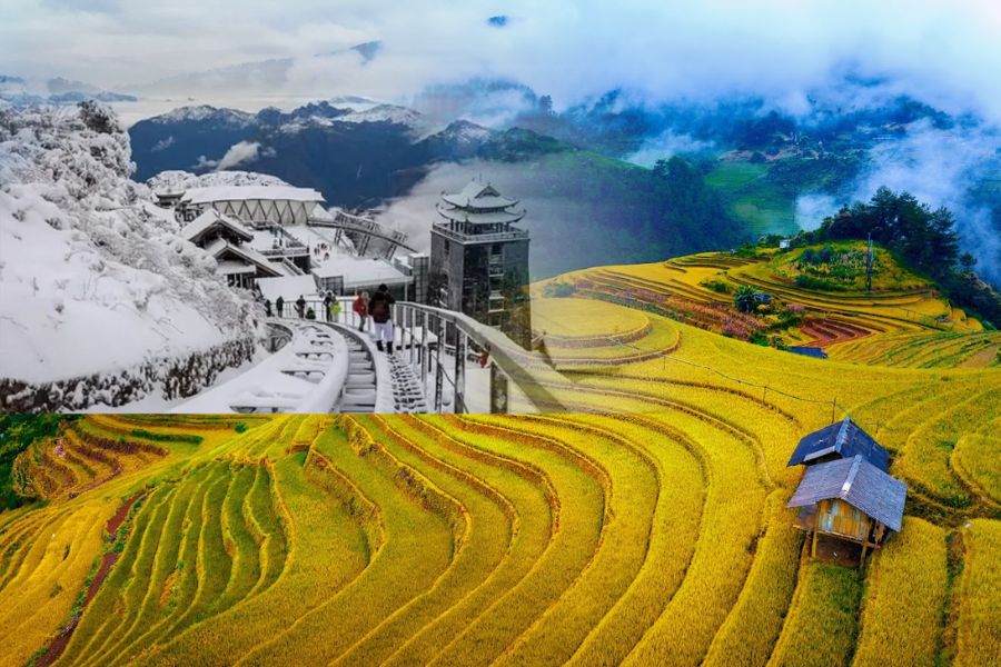 Quelle est la meilleure période pour visiter Lao Cai ?