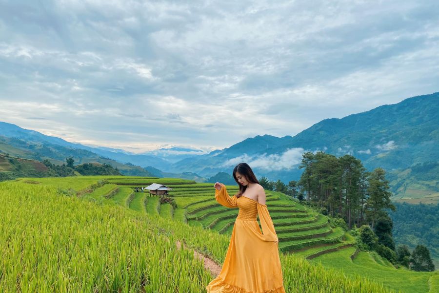 Rizières de Sa Pa, Vietnam – Un regard artistique sur la nature 