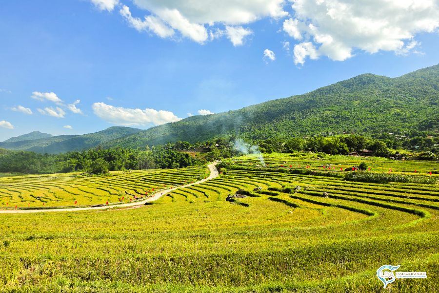 Top des incontournables du Vietnam les plus fascinants