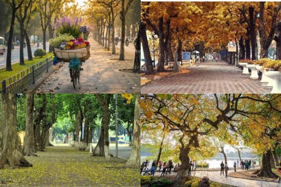 Automne (septembre – novembre)  la saison la plus agréable